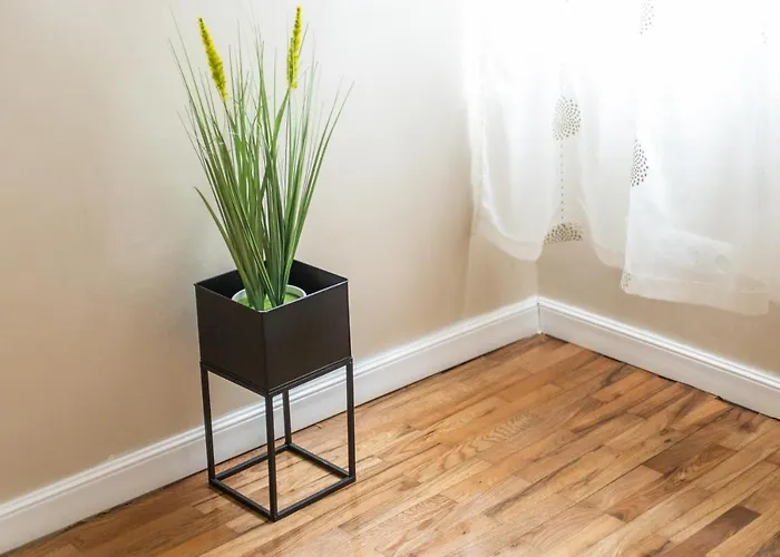 Daire Blue тerrace Center