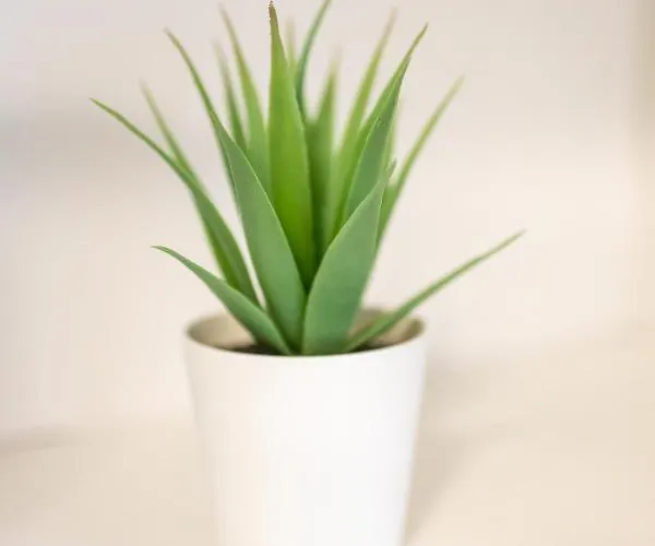 Blue тerrace Center Daire Varna